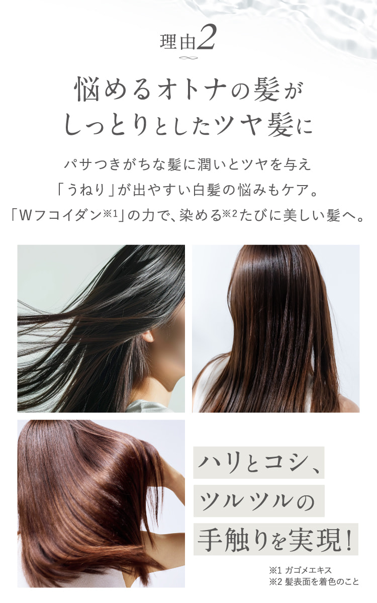 『ハマケン』LPLP 白髪染め LPLP（ルプルプ） 白髪染めトリートメント ヘアカラー ノンジアミン